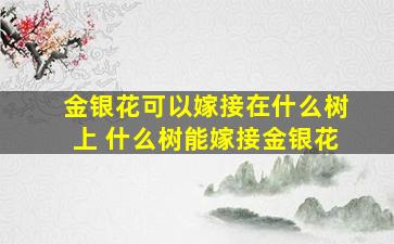 金银花可以嫁接在什么树上 什么树能嫁接金银花